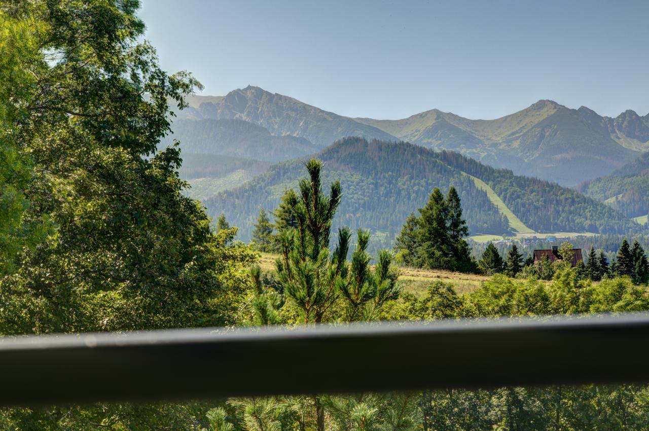 Apartamenty Willa Olsza Wood House & Mountain View & Sauna زاكوباني المظهر الخارجي الصورة
